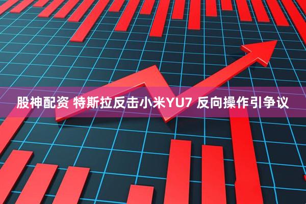 股神配资 特斯拉反击小米YU7 反向操作引争议