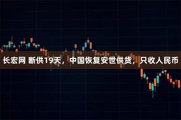 长宏网 断供19天，中国恢复安世供货，只收人民币