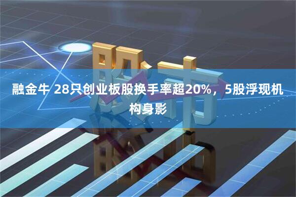 融金牛 28只创业板股换手率超20%，5股浮现机构身影